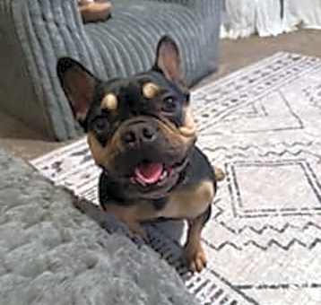 Photo of Tilly