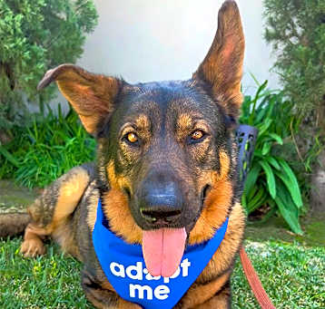 Photo of CABDURY a one-in-a-million boy!