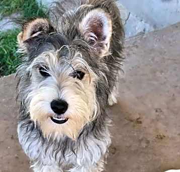 Photo of Trudy