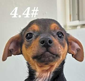 Photo of Matilda