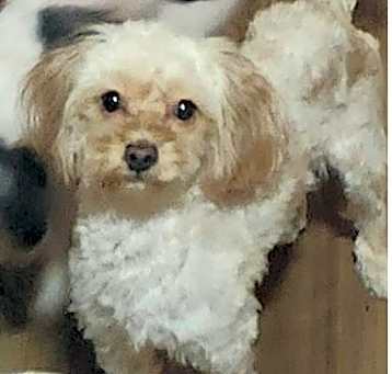 Photo of Norma Jean