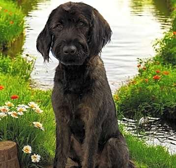 Photo of Fiona