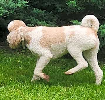 Photo of Gwynn