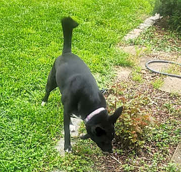 Photo of Mia
