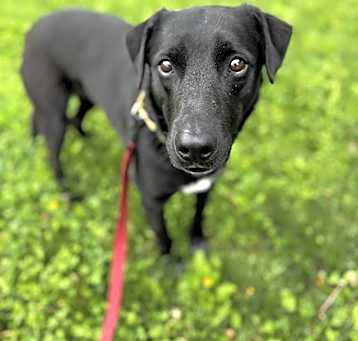 Photo of Remey