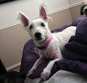 Photo of Chloe