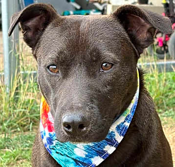 Photo of Jet
