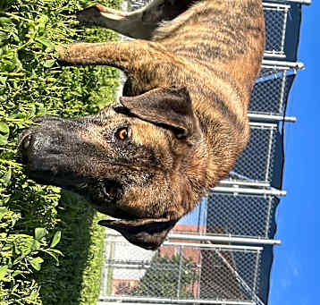 Photo of Zeke