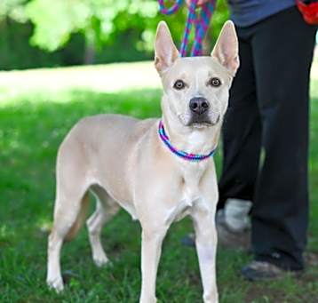 Photo of STORM
