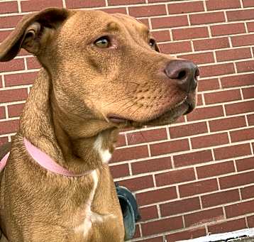 Photo of Echo