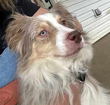 Photo of Rudder
