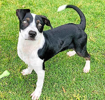 Photo of Tuck 
