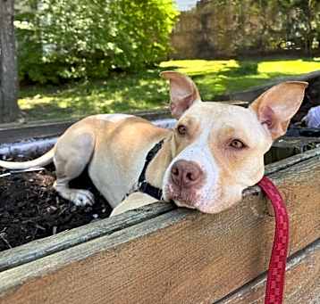 Photo of Xena