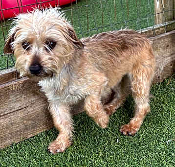 Photo of Penny 4876
