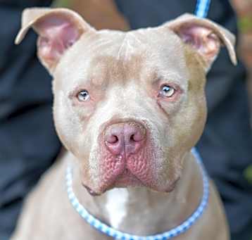 Photo of REBEL-29765
