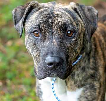 Photo of TIXIE-29773
