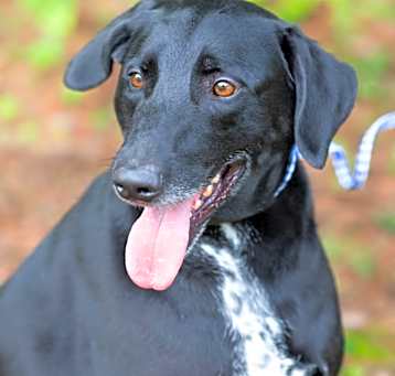 Photo of CHANCE-29778
