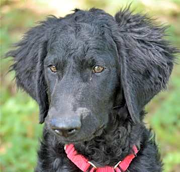 Photo of Fable
