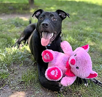 Photo of Jack ~ meet me!