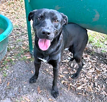 Photo of Aidan GCH