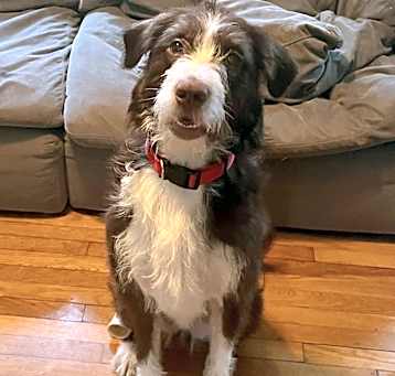 Photo of Rosey
