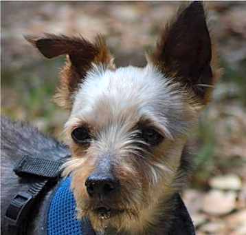 Photo of Willie