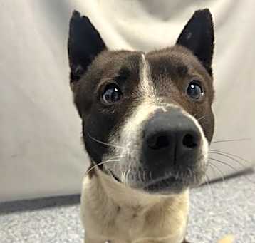 Photo of Chase