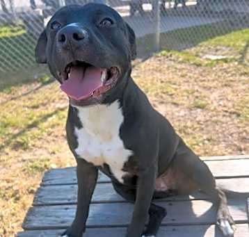 Photo of Maddie GCH