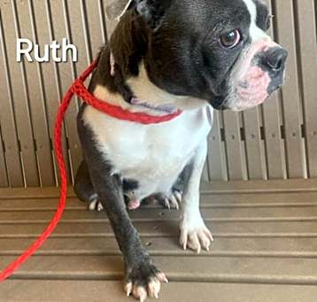Photo of RUTH