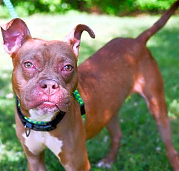 Photo of ZEUS