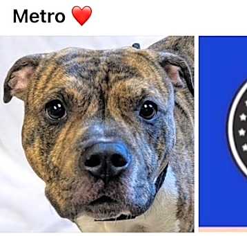 Photo of METRO