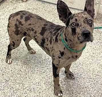 Photo of Bronte