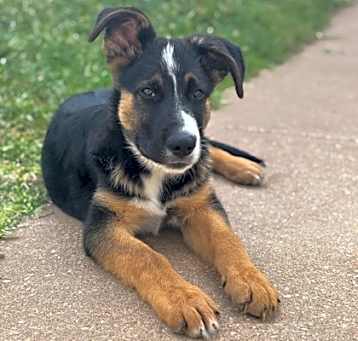 Photo of Ernest