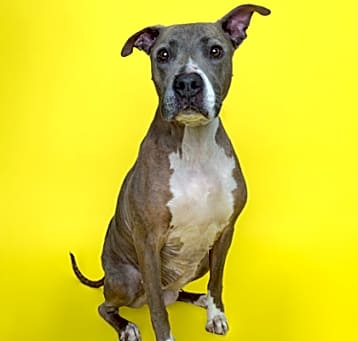 Photo of Tiana