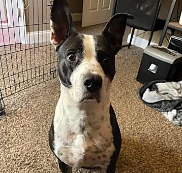 Photo of Zeke