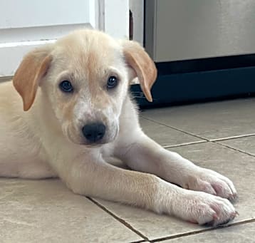 Photo of Jack