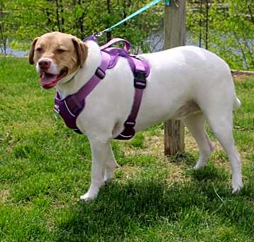 Photo of Finnigan