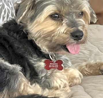 Photo of Oso