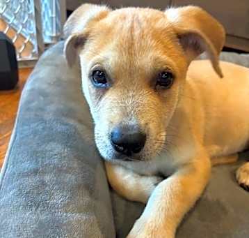 Photo of Baby Diego
