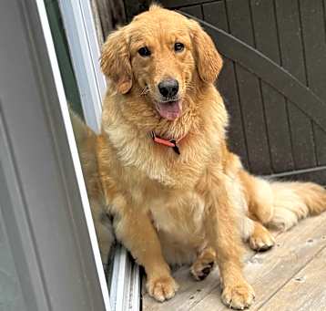Photo of Dorothy