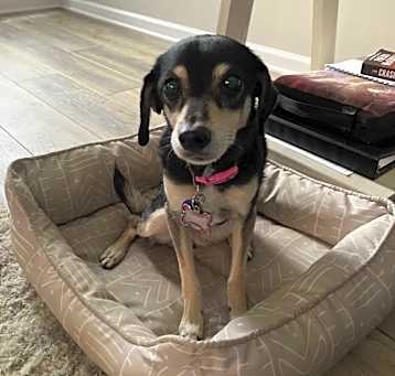 Photo of Lexi