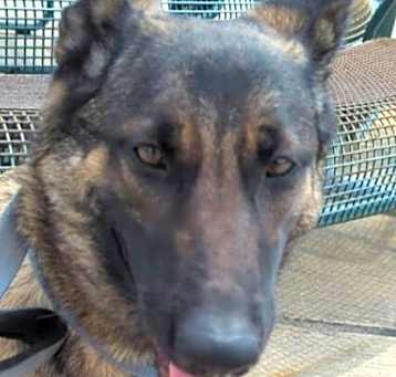 Photo of Kali