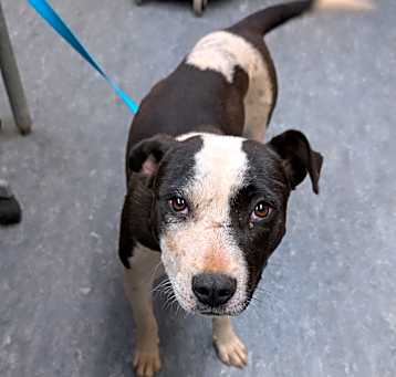 Photo of Betty
