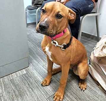Photo of Cannella