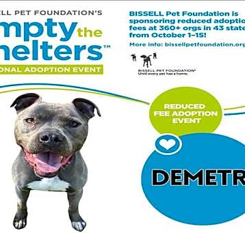 Photo of DEMETRI