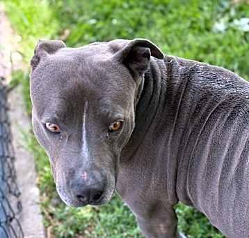 Photo of SQUEAKY