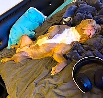 Photo of Baby Boy