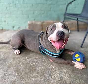 Photo of Winston