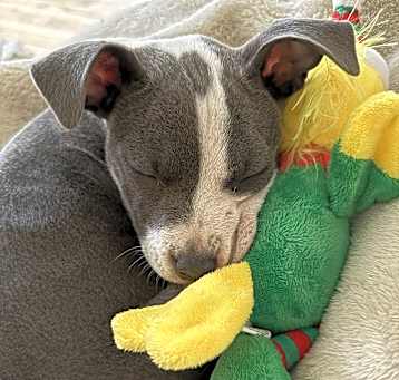 Photo of Fiona
