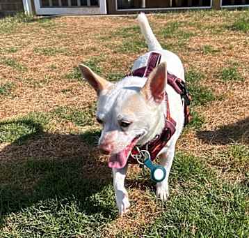 Photo of Zeke